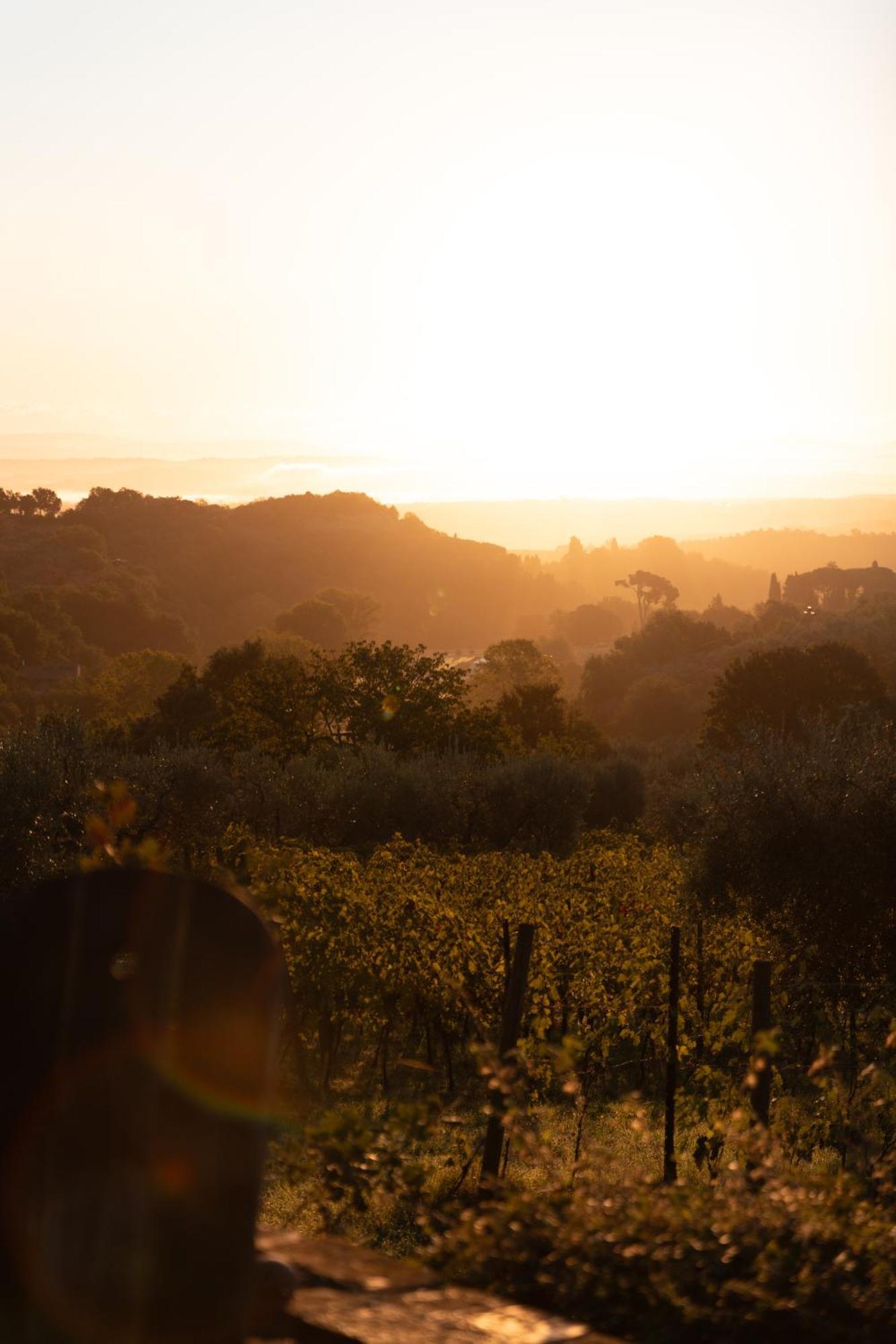 Agriturismo San Martino Montepulciano Stazione Εξωτερικό φωτογραφία