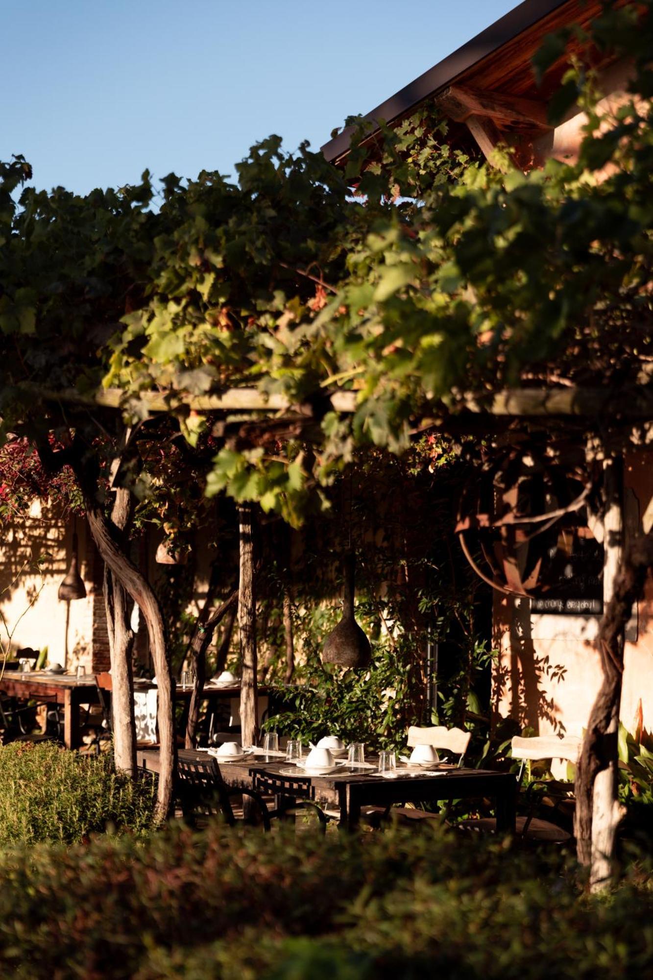 Agriturismo San Martino Montepulciano Stazione Εξωτερικό φωτογραφία